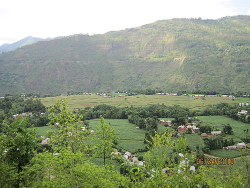 Argali, Palpa